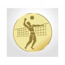Emblem D=50mm Volleyball (H), goldfarbig
