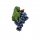 Trschildmotiv Wein-Trauben blau