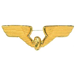 Anstecker / Pin Logo DR Flgel goldfarben Metall