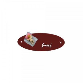 Namensschild Oval- Klassik 170x70mm  braun Motiv Baby Mdchen rot
