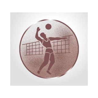 Emblem D=50mm Volleyball (H)