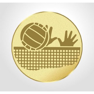 Emblem D=50mm Volleyball