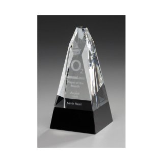 Kristall-President Award 170mm, Preis ist incl.Text & Logogravur, keine weiteren Kosten