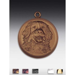 Medaille Bern. Sennenhund mit se  50mm, bronzefarben in Metall