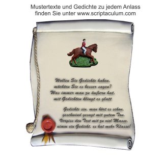 Urkunde Decoramic 180x220mm  sandfarben, Artelith Motiv bser Reiter / Reitsport