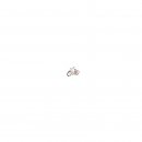 Ansteckpin SR2 (Baujahr 1958 - 1963) rot