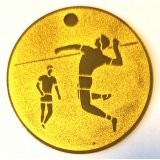 EMBLEM D=50 Faustball goldfarben