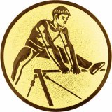 Emblem D=50mm Turnen ReckHerren gold