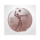 Emblem D=50mm Volleyball (H)