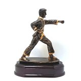 Figur Karate 175 incl. Gravur