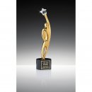 Hollywood Triumpg Award 260mm Preis ist incl.Text & Logogravur, keine weiteren Kosten