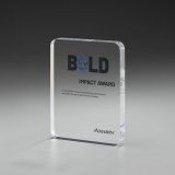 Levity Award 200mm inkl. Gravur