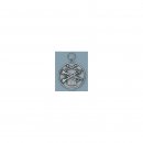 Medaille, altsilberfarbig, mit se und Ring
