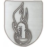 Wappen 75x65mm geprgt Feuerwehr Jugendfeuerwehr DFV
