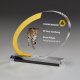 Acryl Dynamic Award 165mm inkl. Gravur