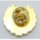 Anstecker  21mm gold 15mm Emblems nach Ihrer Vorlage Steckverschluss  rckseitig ab 10 Stck