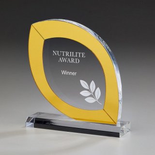 Acryl Harmony Award 170mm inkl. Gravur
