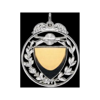 Anhanger, 40 mm, versilbert,mit goldfarbigem Gravurfeld