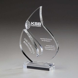 Brilliance Award 220mm inkl. Gravur