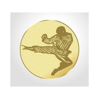 Emblem D=50mm Karate