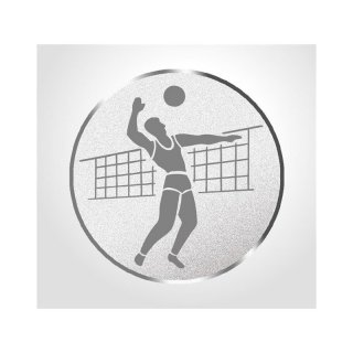 Emblem D=25mm Volleyball (H), silberfarbig