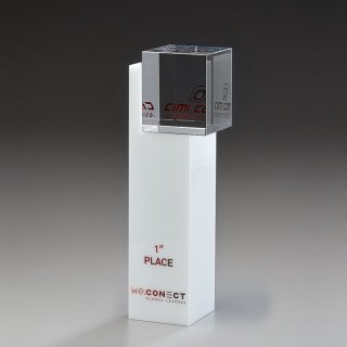 Empire Award Kristallglas 245mm inkl. Gravur