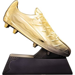Fuball Trophe H.130mm