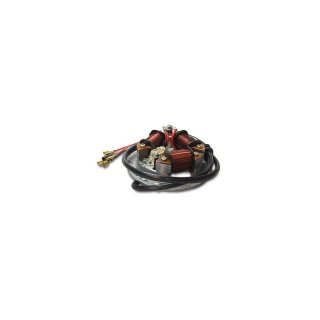 Grundplatte  6V Unterbrecher komplett (AKA-Electric)* passend fr SR50, SR80
