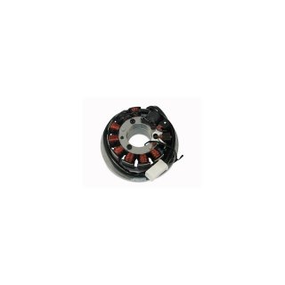 Grundplatte AKA Electric* (neue Bauart - Stator 11 Pole) 12V