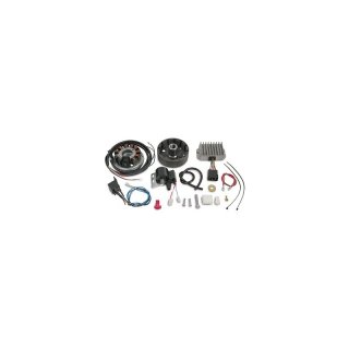 Lichtmaschine + Zndanlage RT125/1, RT125/2, RT125/3  (12V100W) *