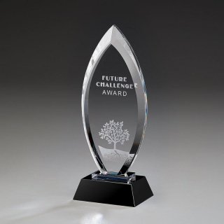 Majestic Kristallglas Award 245mm inkl. Gravur