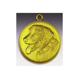 Medaille Appenzeller mit se  50mm, goldfarben in Metall