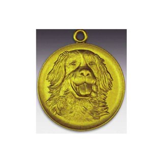 Medaille Bern. Sennenhund mit se  50mm, goldfarben in Metall