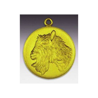 Medaille Geibock mit se  50mm, goldfarben in Metall