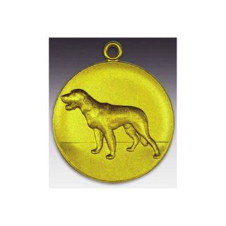 Medaille Mnsterlnder mit se  50mm, goldfarben in Metall