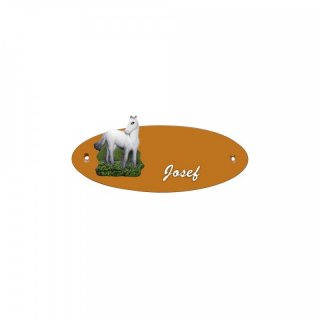 Namensschild Oval- Klassik 170x70mm  Terrakotta Motiv Pferd weiss stehend