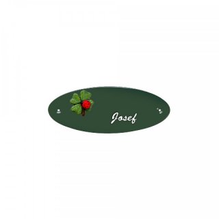 Namensschild Oval- Klassik 170x70mm  grn Motiv Glckstaler