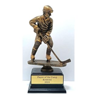 Resinfigur Eishockey 23cm