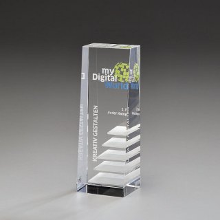 Steps to Success Kristallglas Award 170mm inkl. Gravur