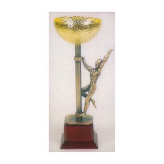 Trowards Award Hhe: 31 cm