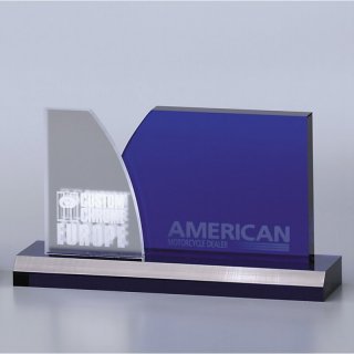 Victory Award 145x255 mm