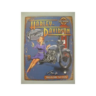 Wandschild Eisen Motorcycles  Harly Davidson H.33cm x L.25cm